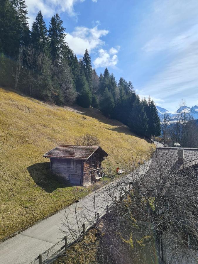 Traditional Chalet In Wengen - Top Floor Exterior foto